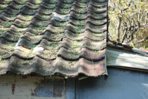 A homeowner inspects roof shingles and gutters from the ground before a storm.